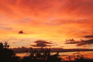 Fototapeta na wymiar Sunset Savanna 