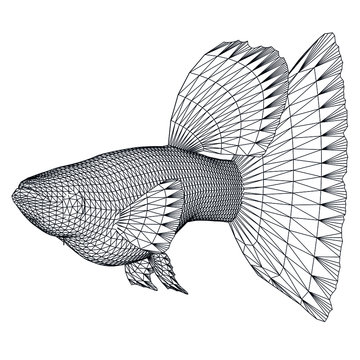 wireframe guppy fish, side view clip art preview