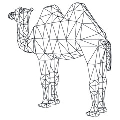 Camel cartoon lines illustration. Abstract vector camel on the white background