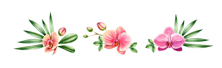Watercolor Orchid set. Pink flower bouquets with palm leaves. Colourful tropical plants collection in bloom isolated on white. Hand painted botanical floral illustration © Katerina Kolberg
