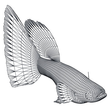 recommend clip art: Blue grass guppy fish polygonal lines illustration. Abstract vector angel fish on the white background