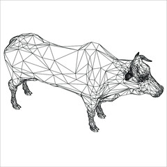 Brahman cow polygonal lines illustration. Abstract vector cow on the white background