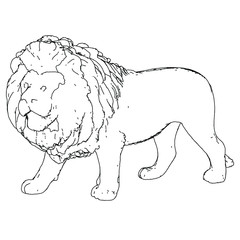 Lion lines illustration. Abstract vector lion on the white background