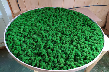 green decorative moss in a round picture on the wall