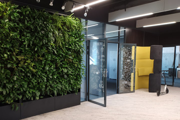 vertical landscape design in a modern office. green walls from plants