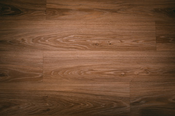 Wooden texture background slice southern oak