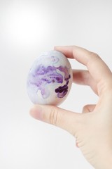 colored hibiscus tea egg in hand