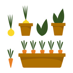 Bright vector set with vegetables and flower in a brown flower pot on an isolated white background. Carrots, onions, aloe, cactus. Decorative element for the site, applications. Separate elements.
