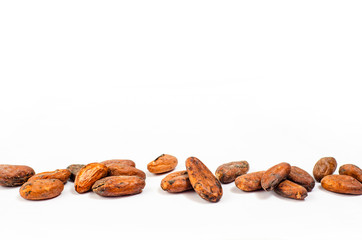 Cocoa beans Isolated on white background.