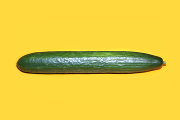 one whole long ripe green Cucumber isolated on yellow background. single cucumber