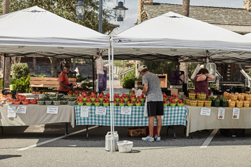 farmers market in america