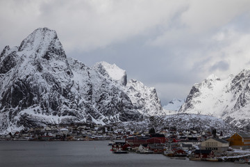 Fototapeta premium Lofoten im Winter - Der Norden von Norwegen