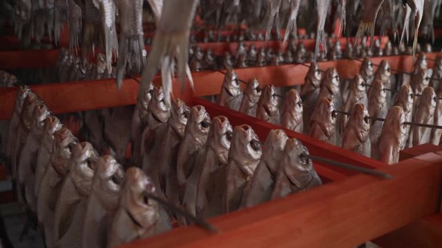 Dried cod at a Norwegian fish factory. Mass drying of dried fish at a fish factory.