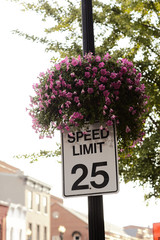 Speed limit sign 
