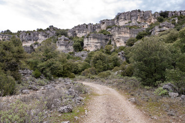 Fototapeta na wymiar nature trail to the mountains in the background