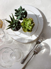
table setting in bright colors with flowers of succulents. Plate and cutlery on the table top...