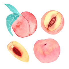 Hand drawn watercolor set with peaches isolated on a white background. Large peach with leaves, large pink peach, peach quarter, peach with a stone.
