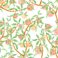 Watercolor seamless pattern with branches of ripe peaches on a white background. Print made of peach branches for wallpaper, cards, fabrics.
