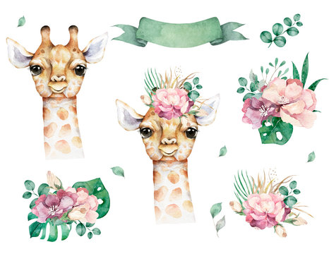 Giraffe set with flowersHand drawn watercolor cartoon giraffe tropical animal isolated illustration. Jungle exotic summer design