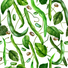 Obraz premium Watercolor illustration, pattern. Bean pods, beans, bean leaves on a white background.