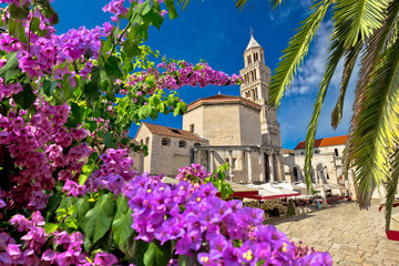 Old Split roman ruins and cathedral view through flower and palms