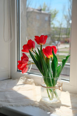 red tulips in a transparent vase on the window
