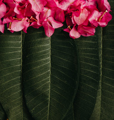 Creative layout made of bougainvillea flowers and plumeria leaves with paper card note. Flat lay. Nature concept