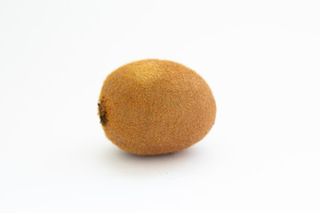 kiwi on a white background