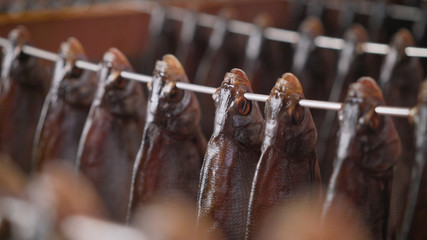 Mass drying of dried fish at a fish factory. Dried cod at a Norwegian fish factory
