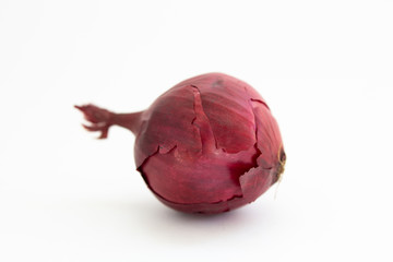 blue onion on a white background