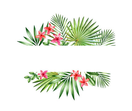 Watercolor floral banner. Small red orchids and palm leaves arrangement. Horizontal frame with place for text. Hand painted tropical background for cards. Botanical illustrations isolated on white.