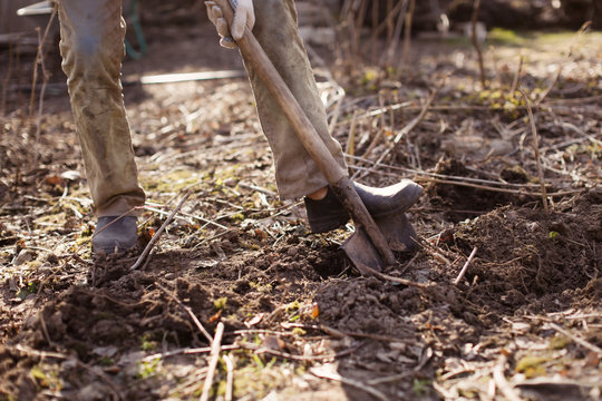 Caucasian man with shovel digs ground in garden