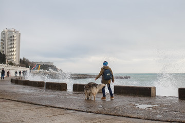 dog on the beach