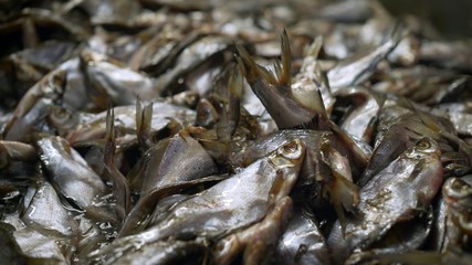 salting fish. The process of salting fish in a fish factory. The process of dried fish.