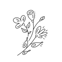 Vector bouquet floral hand drawn elements in elegant and minimal style. Isolated objects flowers and branches with leaves. For badges, labels logotypes and branding business identity