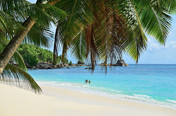 Obraz na płótnie Canvas Tropical beach, Seychelles, Mahe