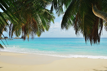 Tropical beach, Seychelles islands. Mahe