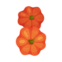 Number Made of Fresh Juicy Pumpkin Vector Illustration