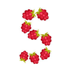 Number Arrranged From Raspberry Isolated on White Background Vector Illustration