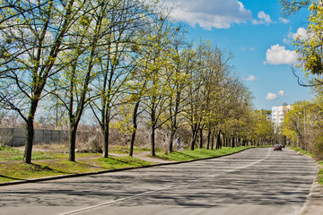 Cars drive along the road between trees on a sunny day, beautiful view of the blue cloudy sky in early spring