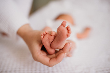 newborn baby feet in mothers hands