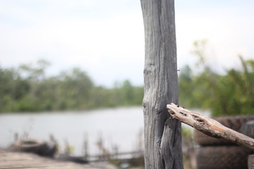 wooden fence on the lake