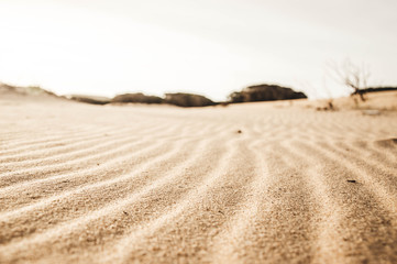 sand dunes on the beach