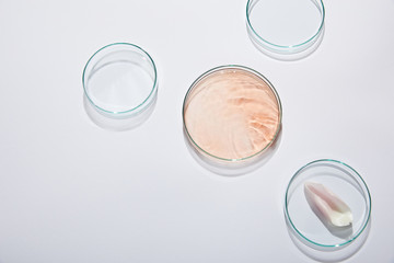 Top view of laboratory glassware with liquid and rose petal on grey background