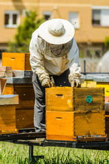 Chancellor at the inclination of honey 