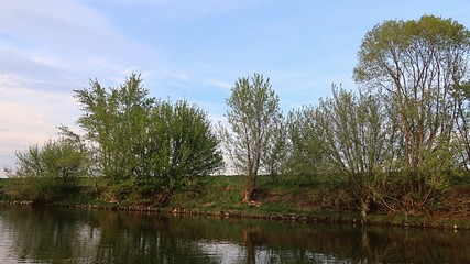 Spring tree lane of various broadleaf trees on river bank of Nitra river, afternoon sunshine. 