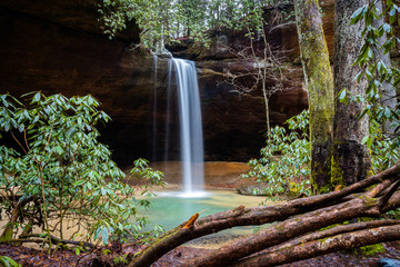 Waterfall in Forest