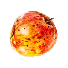 Cute fun yellow apple watercolor hand drawing isolated on white background