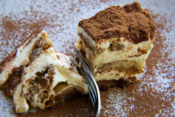 Traditional italian dessert tiramisu cake