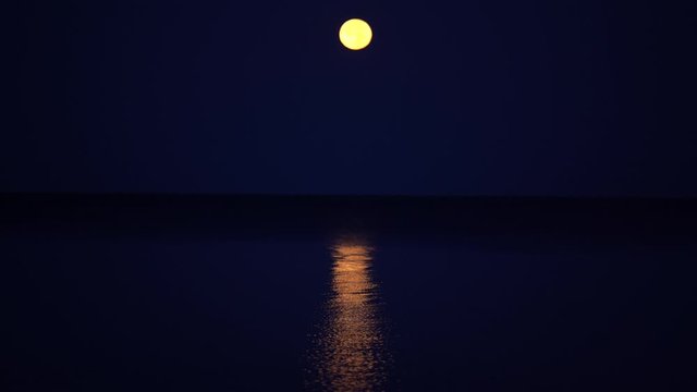 Yellow full moon hangs on a calm sea. Seagulls fly one after another over the sea next to the camera